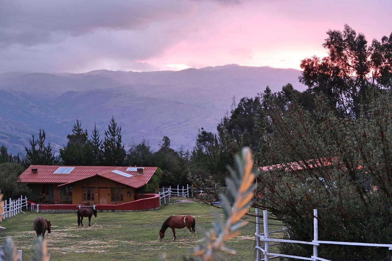 The Lazy Dog Inn A Mountain Lodge Huaraz Kültér fotó