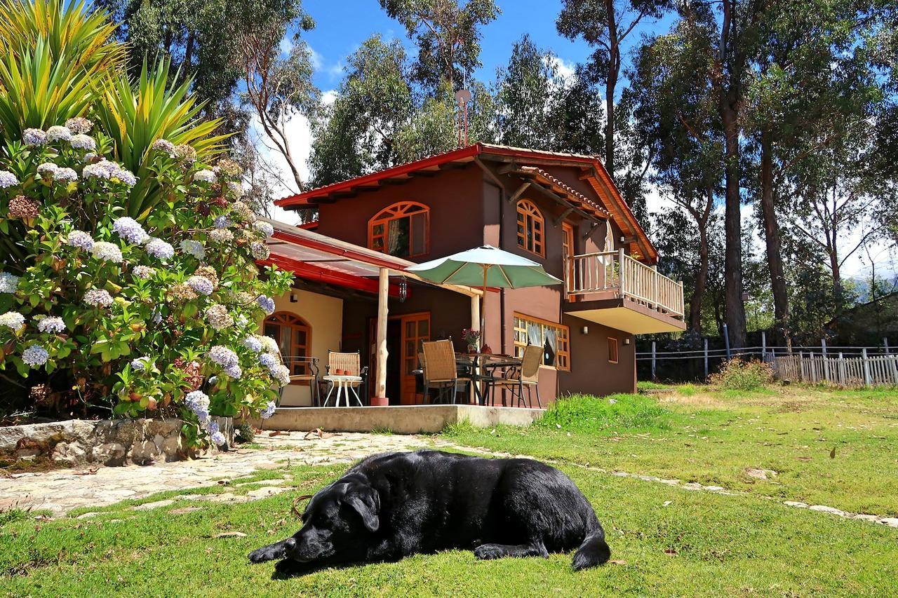 The Lazy Dog Inn A Mountain Lodge Huaraz Kültér fotó